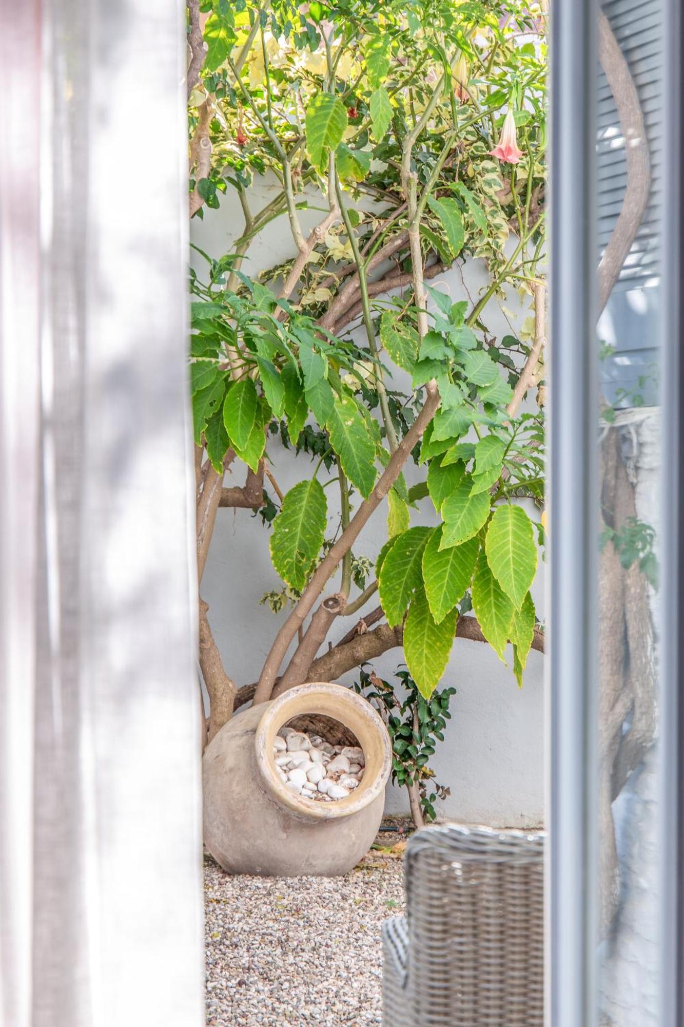 Micra Anglia Boutique Hotel & Spa Ándros 외부 사진
